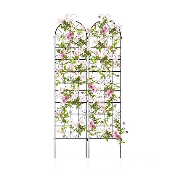 FORCLOVER 87 in. Metal Garden Trellis Decorative for Climbing Plants (2-Pack)