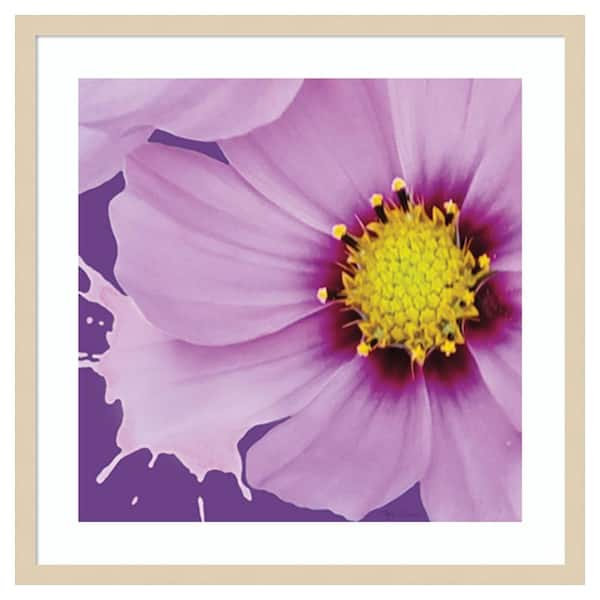 Amanti Art Flower Pop III by Marie Elaine Cusson 25 in. W x 25 in. H. Wood Framed Wall Art Print Framed in Brown