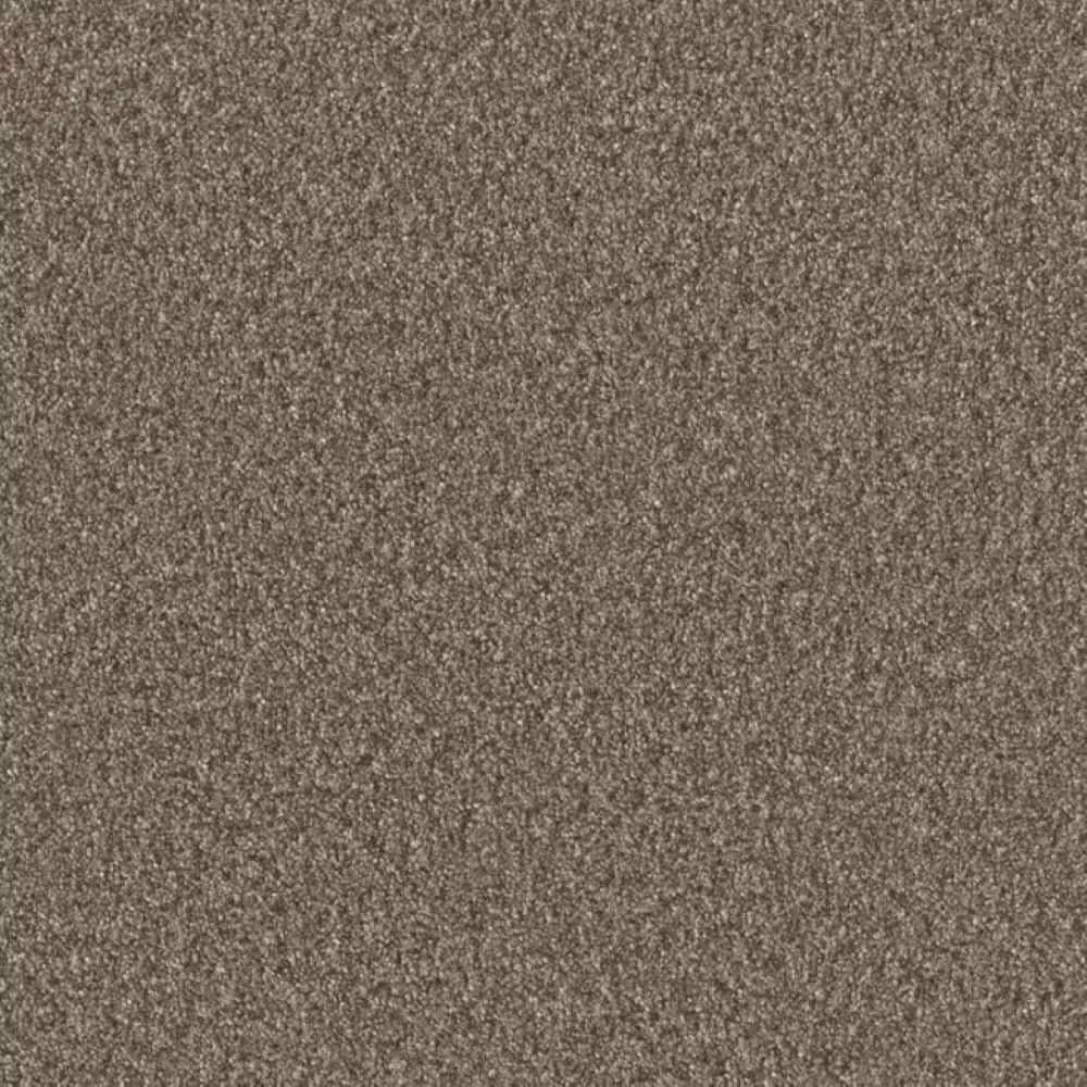 8 in. x 8 in. Texture Carpet Sample-Manuscript II-Color Classics price history on PriceWatchPro