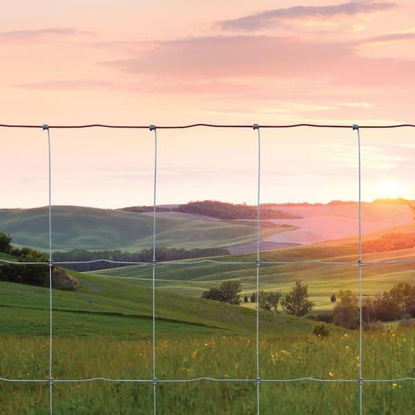 Welded Wire Fence  Buy Red Brand Welded Wire Utility Fencing