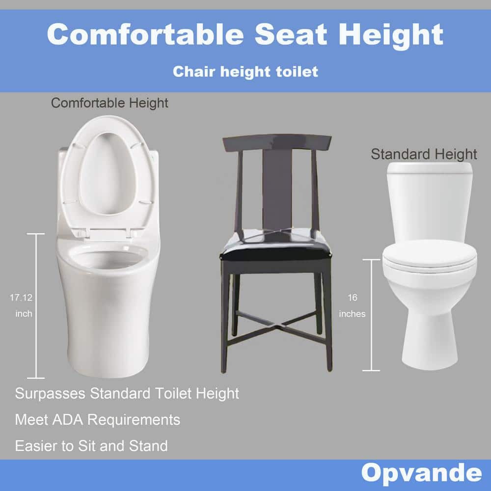 Glossy White Ceramic Dual Flush Elongated One-Piece Toilet