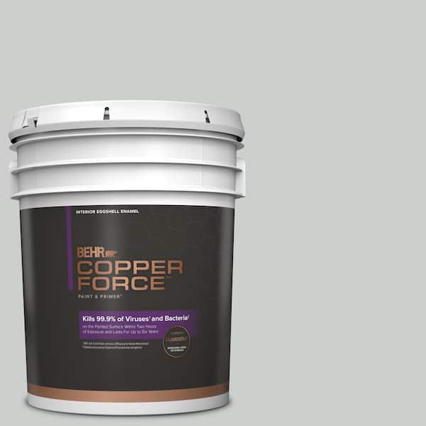 COPPER FORCE 5 gal. #HDC-MD-06G Sparkling Silver Eggshell Enamel Virucidal and Antibacterial Interior Paint & Primer