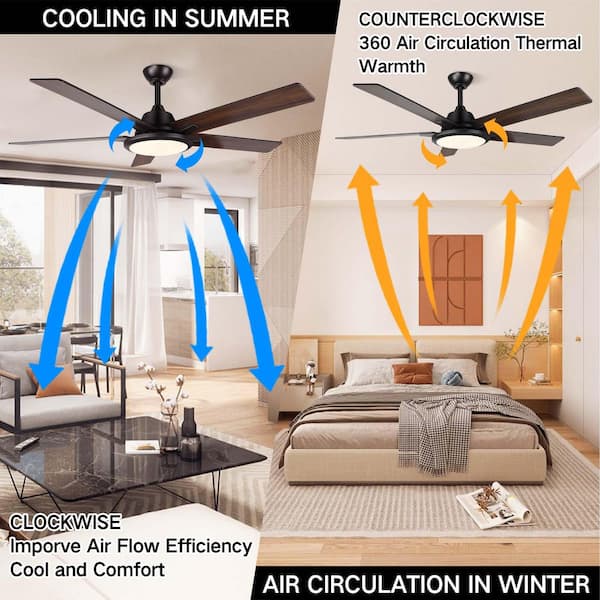 BICIK 52 in. Indoor/Outdoor Black Smart Wi-Fi Ceiling Fan w/Color