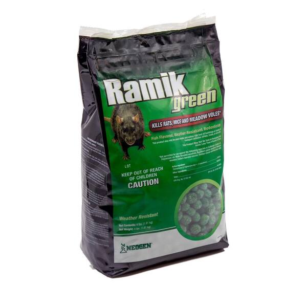 ramik green near me