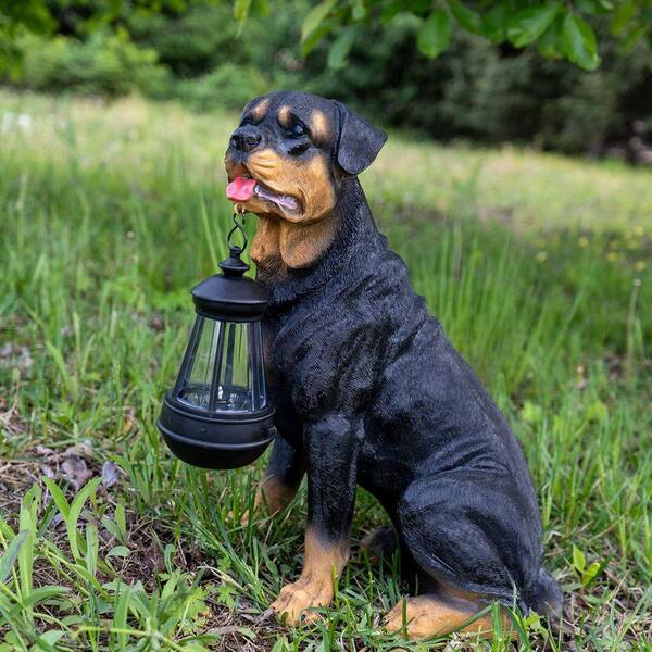 Dog Rottweiler Statues Sculptures Garden Decoration 0922XC61Q
