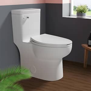PICO One-Piece 1.27 GPF Single Flush Elongated Toilet with Soft Close Seat in White