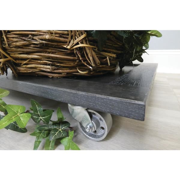 Shepherd - 2 in. Gray Cast Iron Swivel Plate Caster with 125 lb. Load Rating