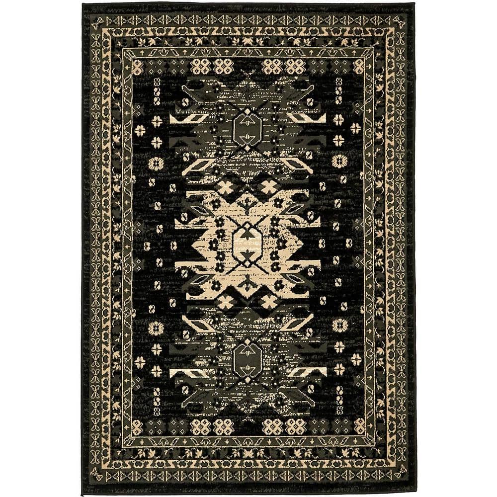 Taftan Oasis Black 4' 0 x 6' 0 Area Rug price history on PriceWatchPro