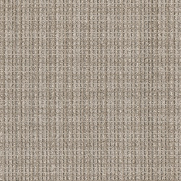 8 in. x  8 in. Loop Carpet Sample - Rosedale -Color Flora