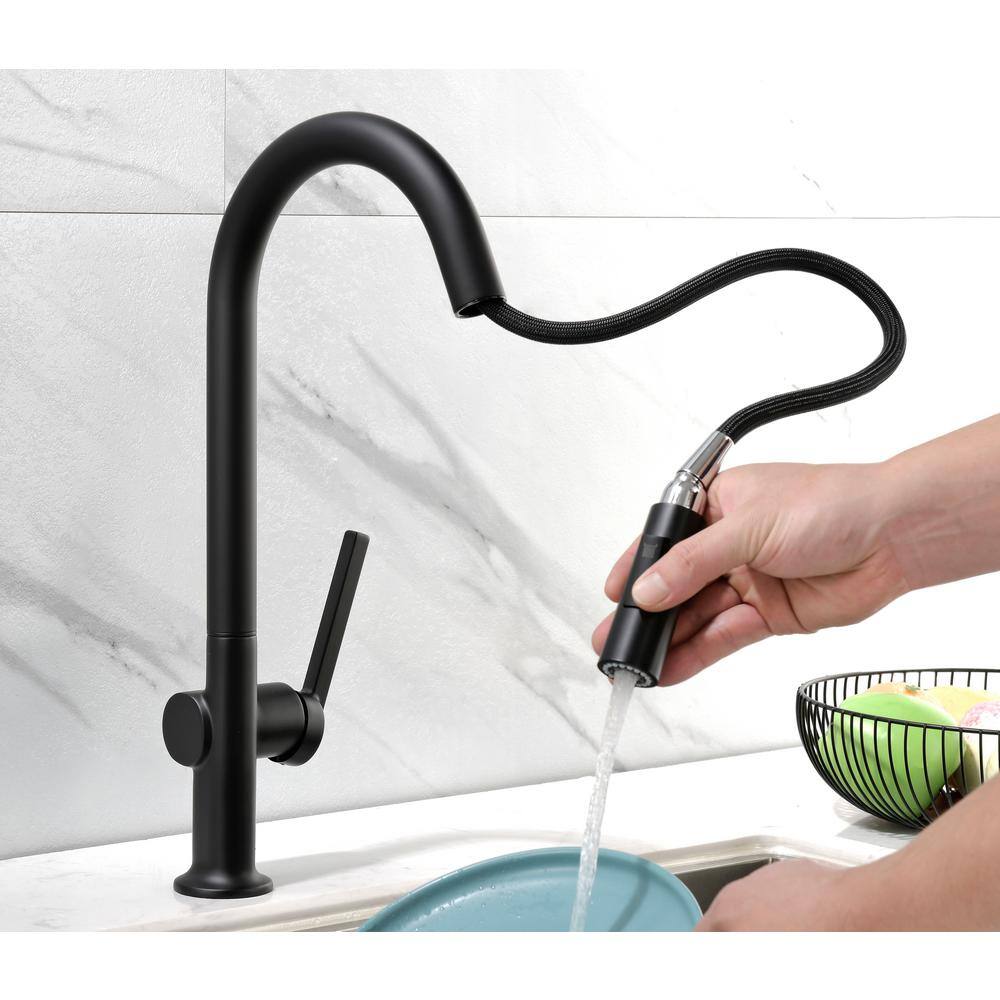 Matte Black Single Handle High-Arc Kitchen Faucet with Pull-out Spray