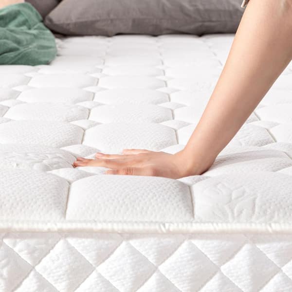 8 Best Mattress Protectors