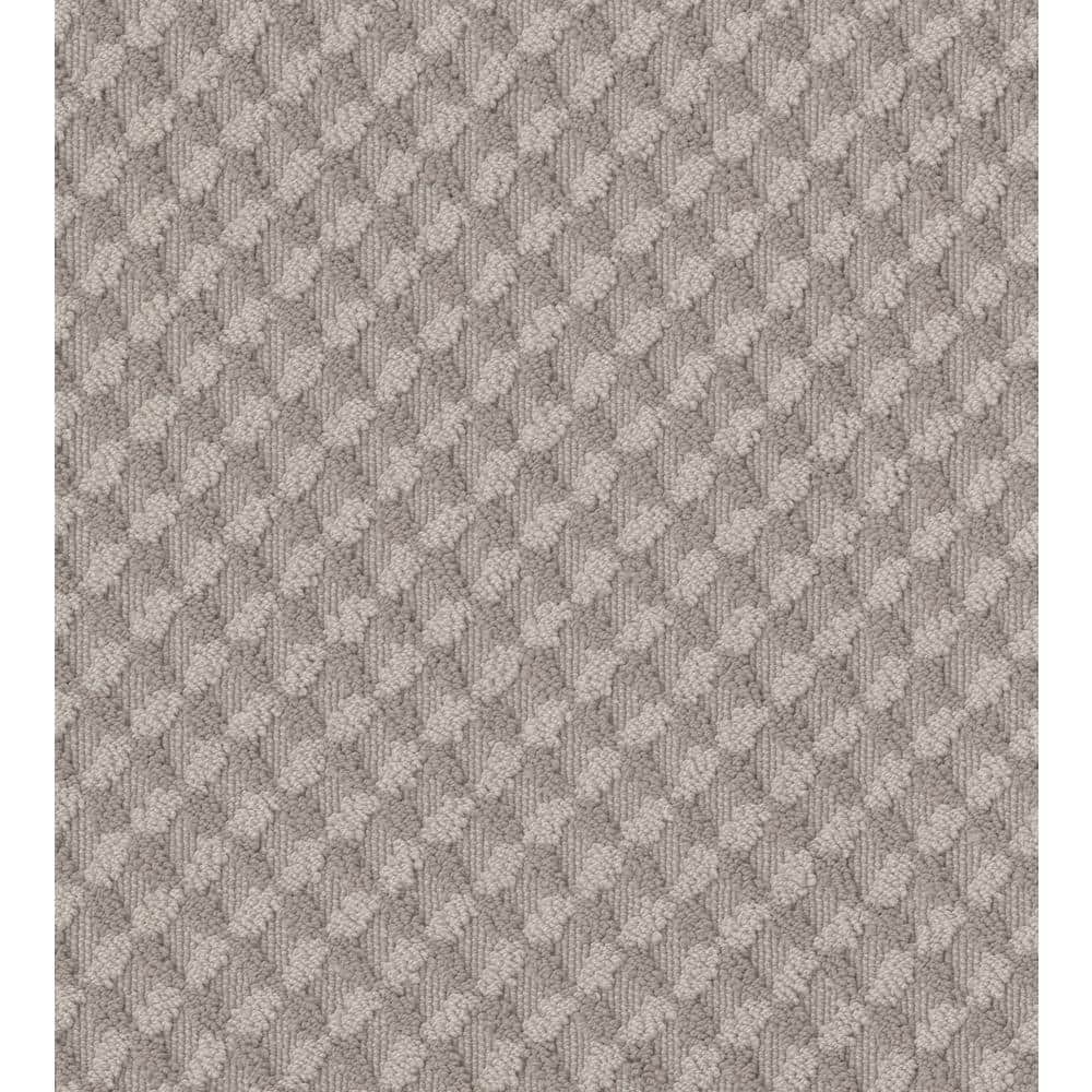 8 in. x 8 in. Pattern Carpet Sample - Exquisite - Color Cottage price history on PriceWatchPro