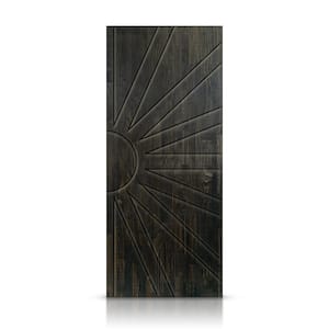42 in. x 96 in. Hollow Core Charcoal Black Stained Solid Wood Interior Door Slab