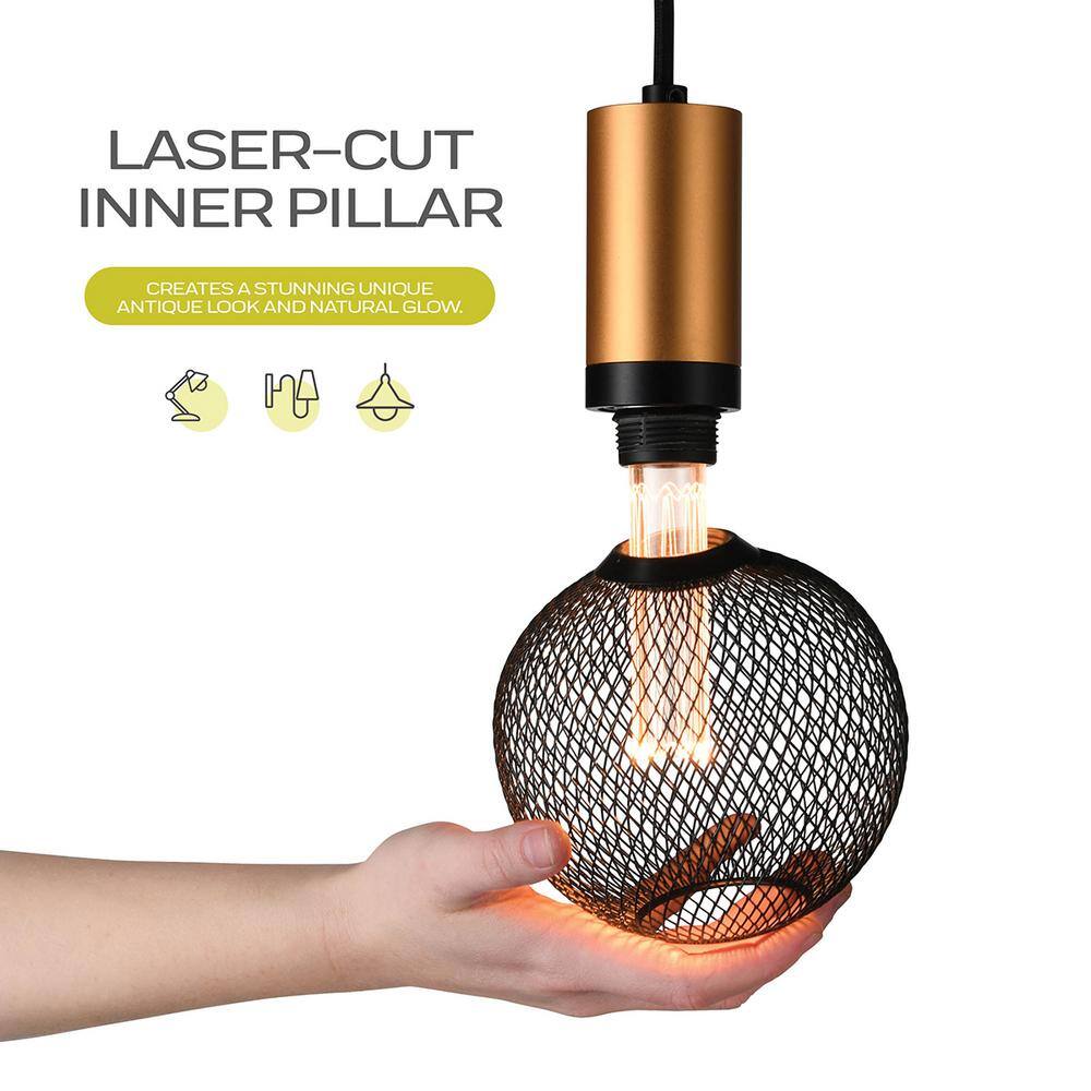 Warm Black Globe LED Bulb with Metal Cage