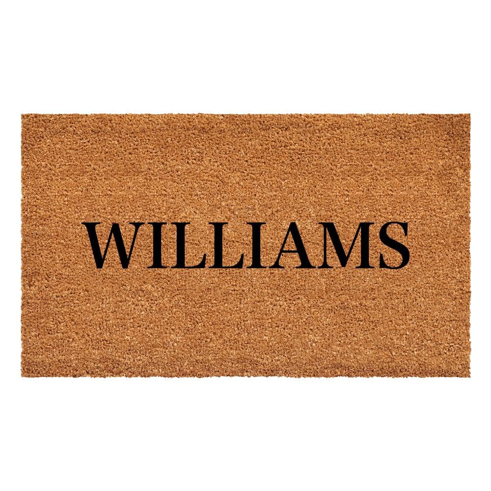 Bold Williams Multi-Colored 17 in. x 29 in. Indoor or Outdoor Doormat price history on PriceWatchPro