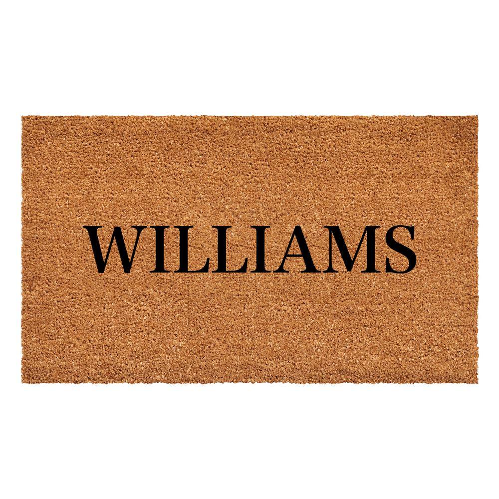 Bold Williams Multi-Colored 36 in. x 72 in. Indoor or Outdoor Doormat price history on PriceWatchPro