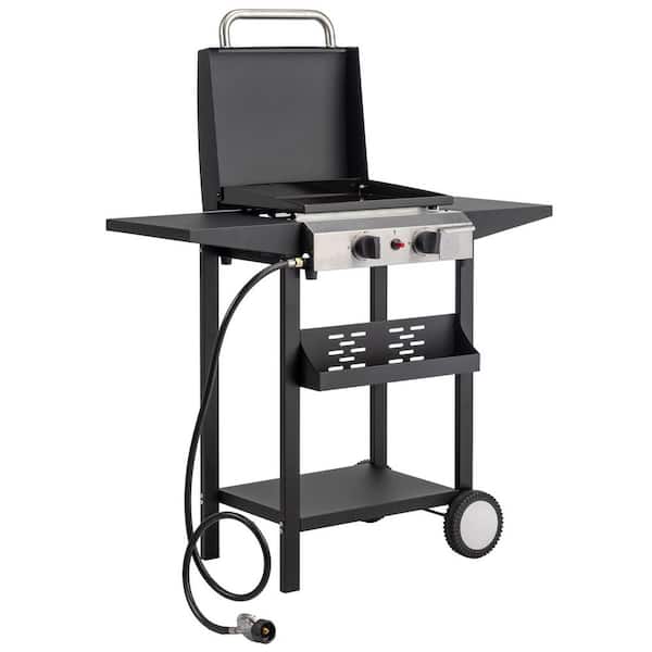 2 Burner 20000 BTU Portable Propane Grill in Black Freestanding Gas Grill with Cover