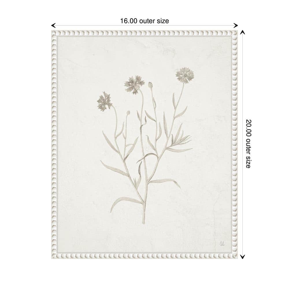 16"x20" White Framed Botanical Canvas Print with Beaded Perimeter