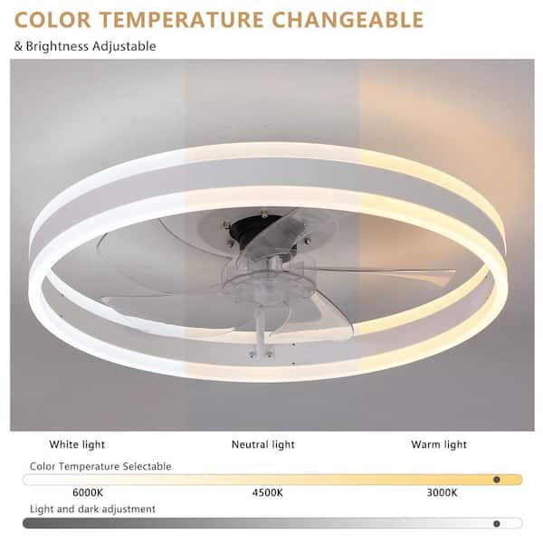 White 19.7 in. indoor LED Small Ceiling Fan with Lights and Remote