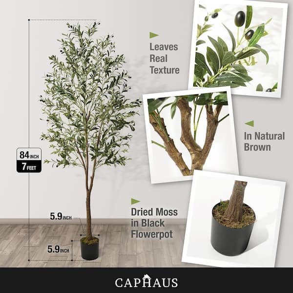 CAPHAUS 7 ft. Green Olive Artificial Tree, Faux Plant in Pot, Faux Olive  Branch and Fruit with Dried Moss for Indoor Home Office HDFT-CHOV8402 - The  Home Depot