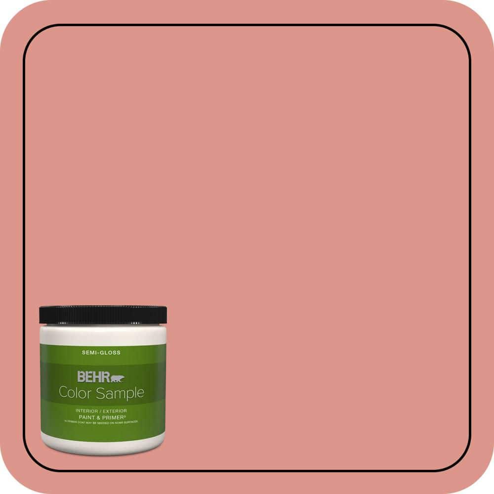 8 oz. #180D-4 Coral Serenade Semi-Gloss Interior/Exterior Paint & Primer Color Sample product image for price tracking