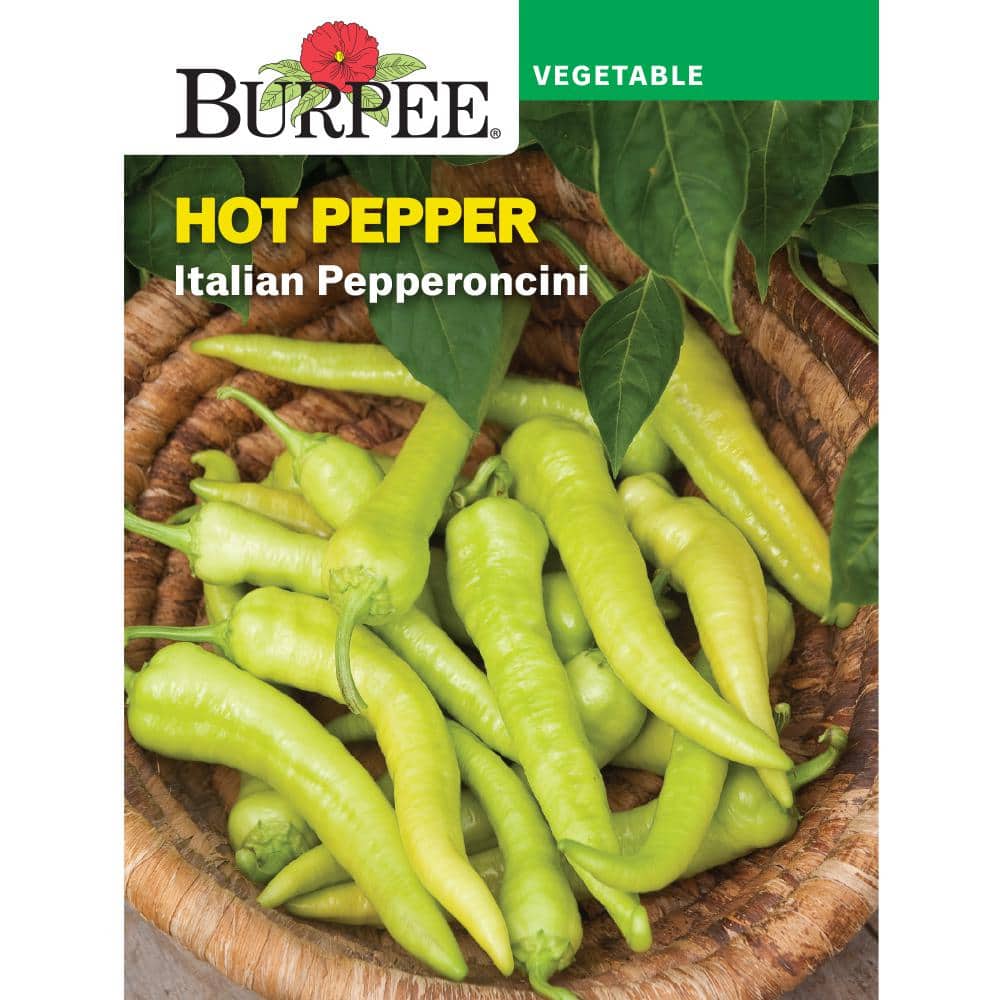 Burpee Garden Pepper Hot Italian Pepperoncini Vegetable Seed 69118