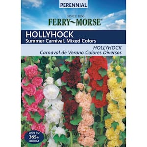 Hollyhock Summer Carnival Mixed Colors Seed