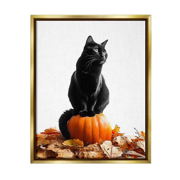 Stupell Industries Black Cat and Pumpkin by Annalisa Latella 1 Piece Floater Frame Graphic Print Animal Poster Art Print 31 in. x 25 in.