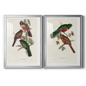 Elegant Trogons IX By Wexford Homes 2-Pieces Framed Abstract Paper Art Print 26.5 in. x 36.5 in.