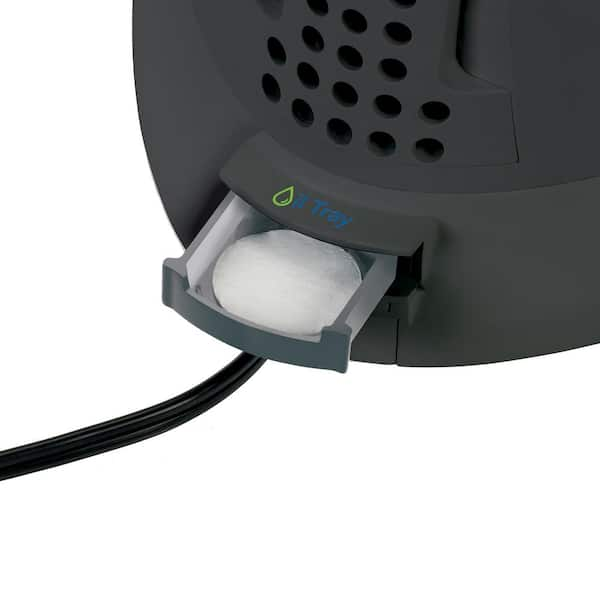 PureGuardian H1175 1.5-Gallon Top Fill Cool Mist Humidifier –  GuardianTechnologies