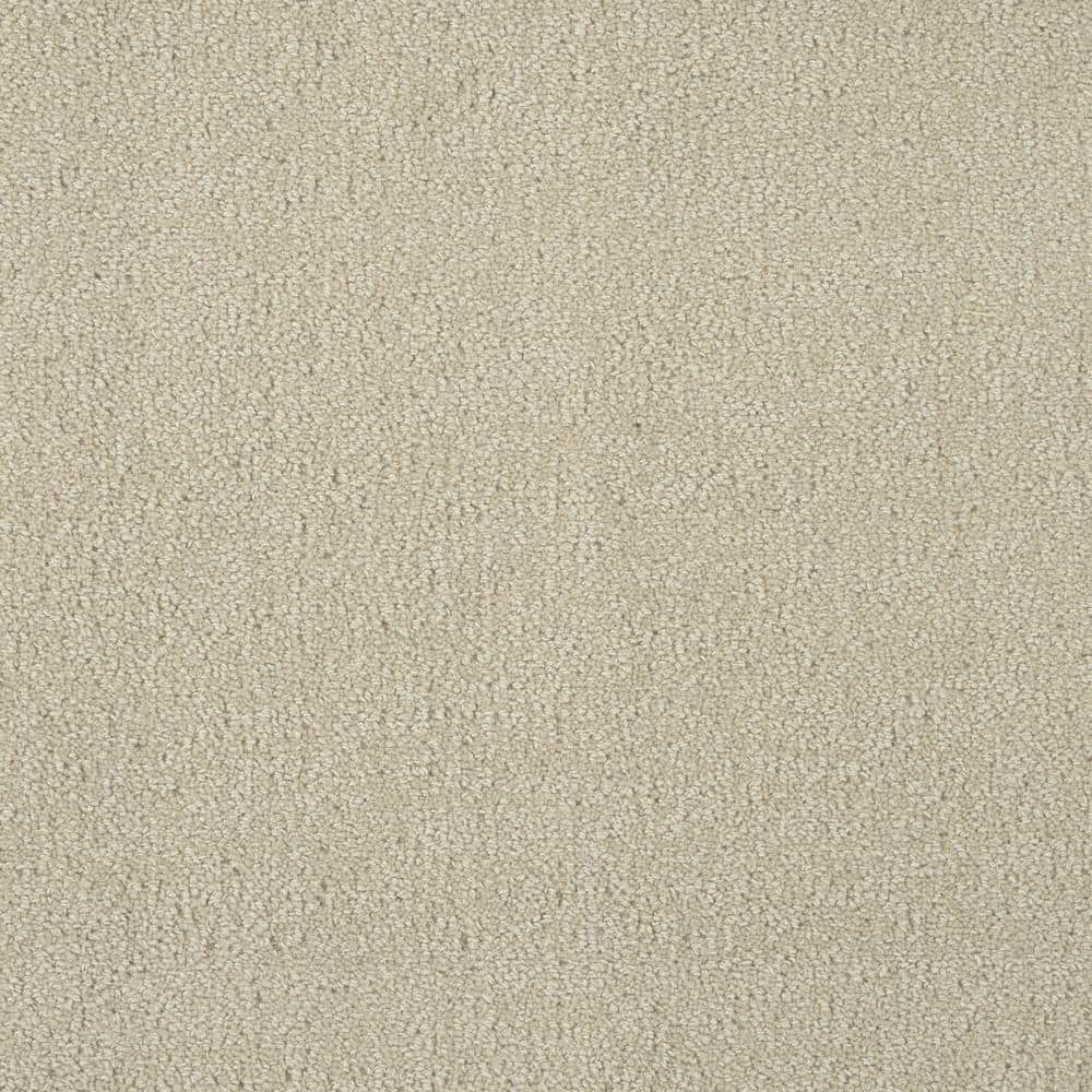 6 in. x 6 in. Texture Carpet Sample - Feather - Color Swan price history on PriceWatchPro