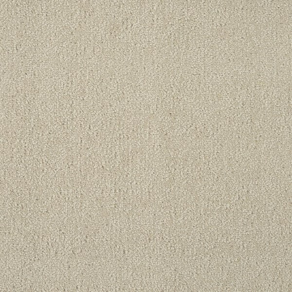 6 in. x 6 in. Texture Carpet Sample - Feather - Color Swan