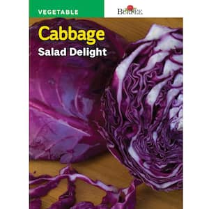 Salad Delight Cabbage Seed