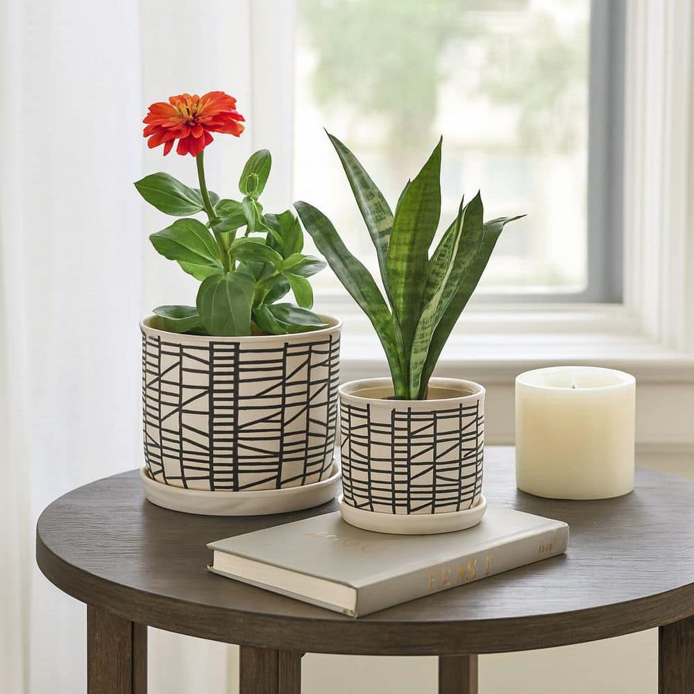 8 in. x 7 in. Ivory/Tan Stoneware Geometric Decorative Saucer Pots (Set of 2) price history on PriceWatchPro