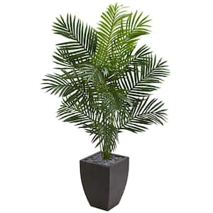 Indoor 5.5 ft. Paradise Artificial Palm Tree in Black Planter