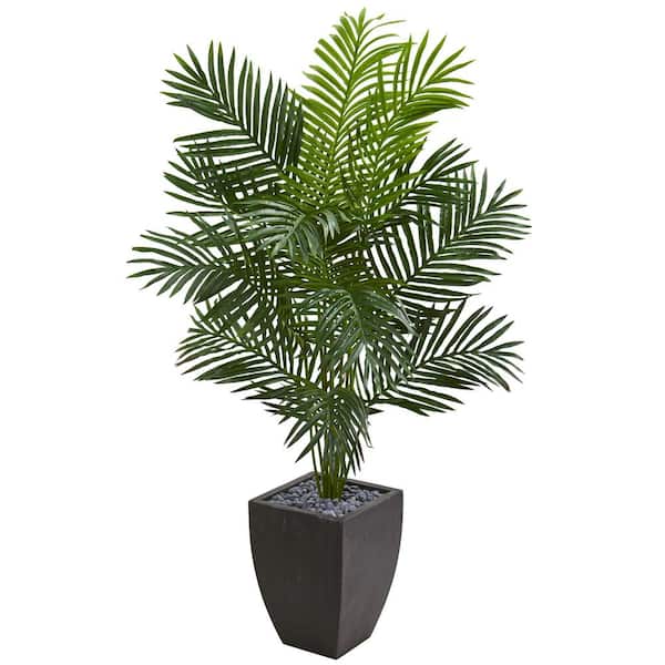 Nearly Natural Indoor 5.5 ft. Paradise Artificial Palm Tree in Black Planter