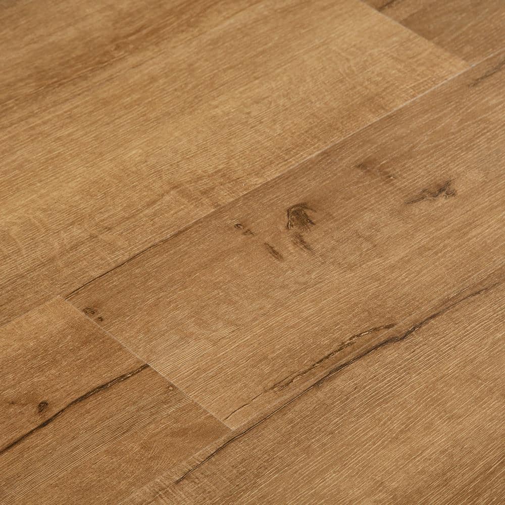 Take Home Sample-Route 66 Mountain Oak 12 MIL x 9 in. W x 12 in. L Click Lo
