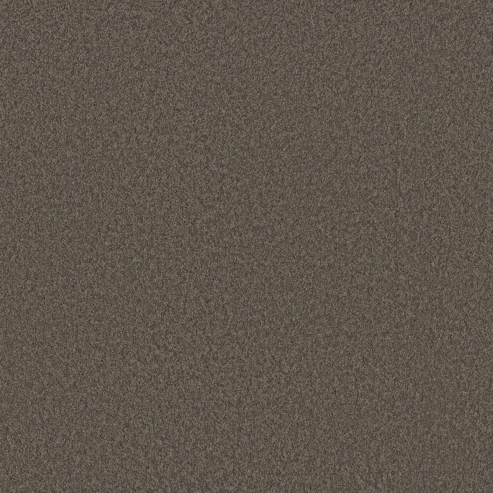 8 in. x 8 in. Texture Carpet Sample - Vignette Velvet I - Color Cottage price history on PriceWatchPro