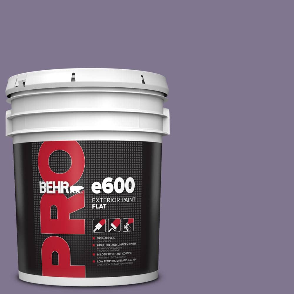 5 gal. #650F-5 Purple Statice Flat Exterior Paint price history on PriceWatchPro