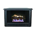 Ashley Hearth Products 34,000 BTU Vent Free Firebox Natural Gas Stove ...