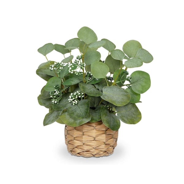 13 in. Green Artificial Eucalyptus Stem in Woven Basket Planter