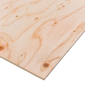 1/4 in. x 2 ft. x 2 ft. Sanded Plywood Project Panel