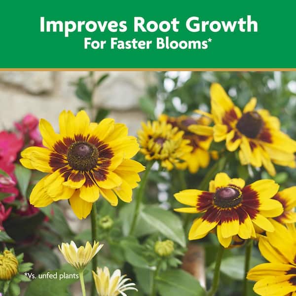 Miracle-Gro Quick Start Planting and Transplant Starting Solution