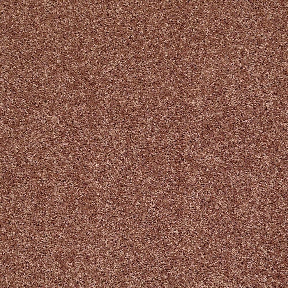 8 in. x 8 in. Texture Carpet Sample - Palmdale II - Color Coffee price history on PriceWatchPro