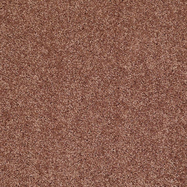 TrafficMaster 8 in. x 8 in. Texture Carpet Sample - Palmdale II - Color Coffee