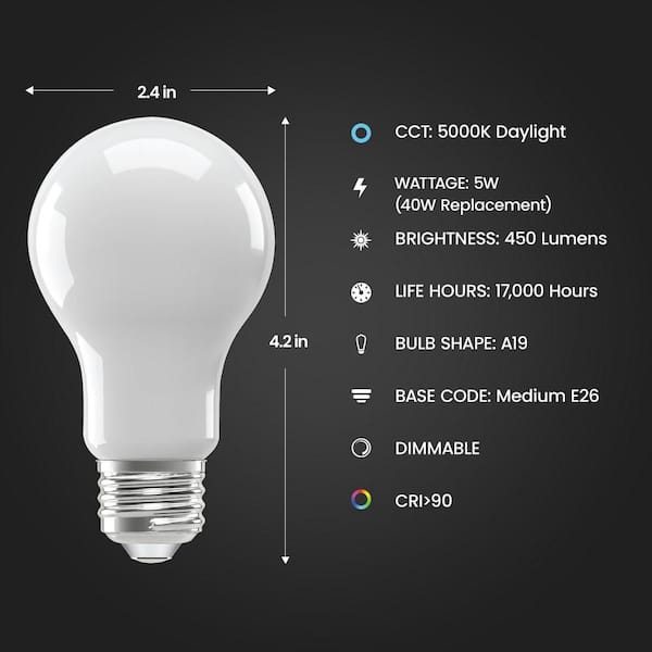 40-Watt Equivalent A-Style A19 Dimmable CEC 90 CRI Frosted Glass Filament E26 LED Light Bulb, Daylight 5000K (4-Pack)