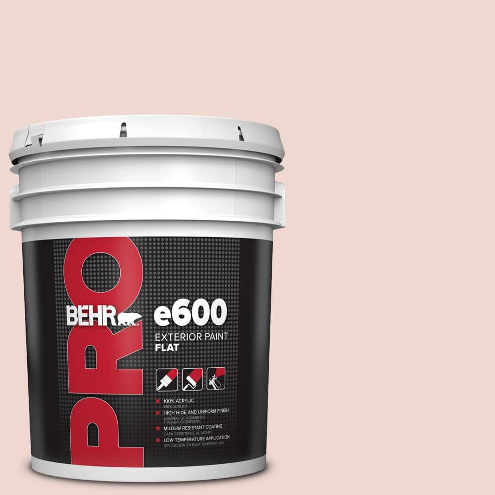 5 gal. #150E-1 Delicate Blush Flat Exterior Paint price history on PriceWatchPro