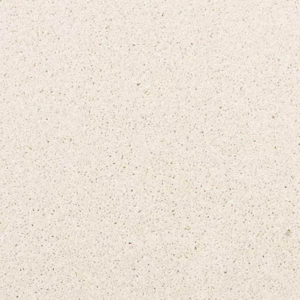 8 in. x 8 in. Texture Carpet Sample-Magalynn II-Color Soft Whisper price history on PriceWatchPro