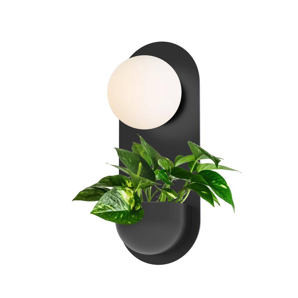 Artika Bloomfield Planter 1-Light Black LED Integrated Indoor Wall ...