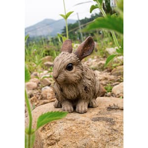 Small Driftwood Rabbit- Garden Statue